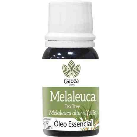 Quais os benefícios do óleo essencial de melaleuca?